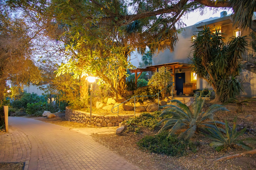 A building entrance with illuminated trees and pathway at dusk