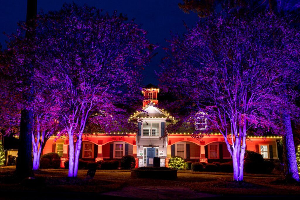 Festive color-changing outdoor lighting