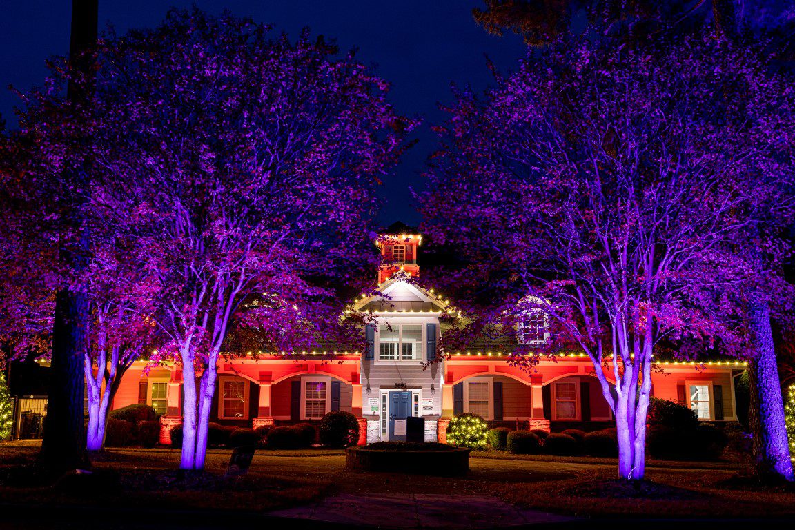 Festive color-changing outdoor lighting