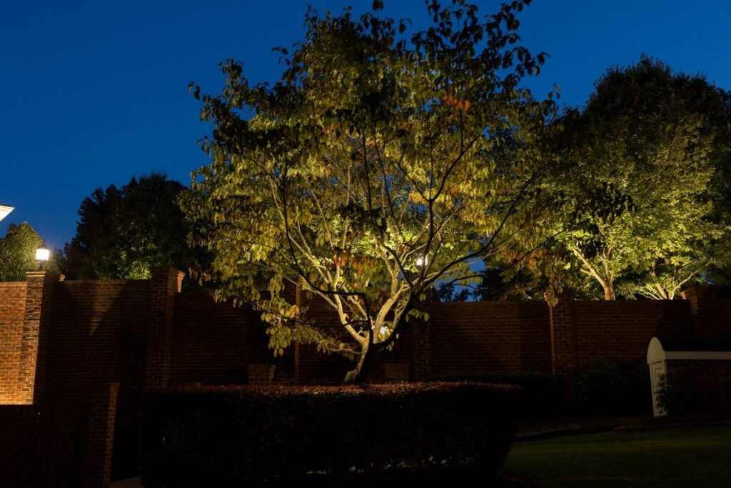 Bolt outdoor lighting project