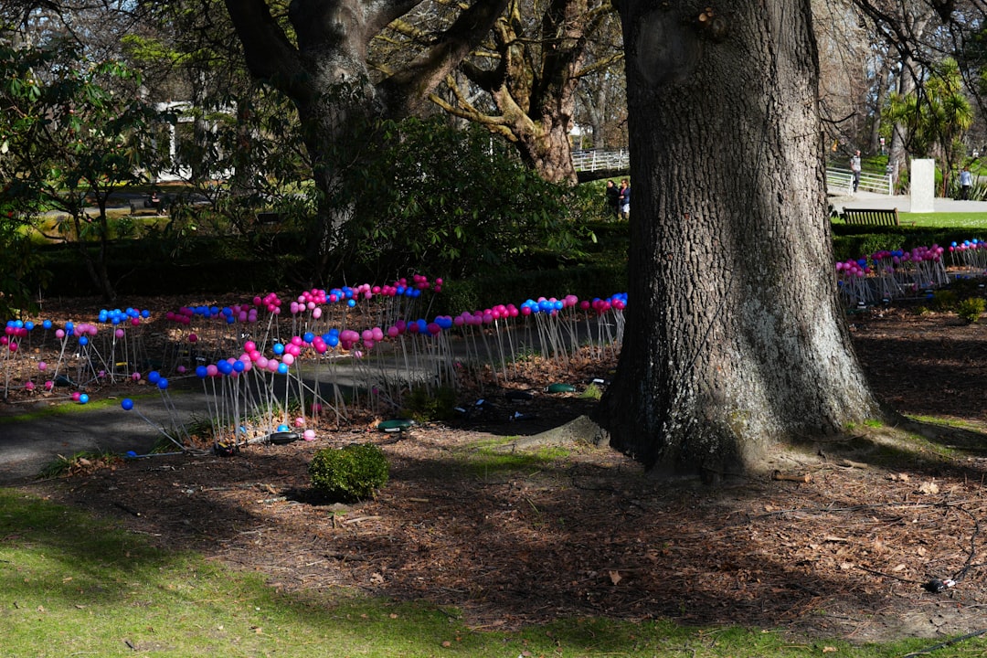 Pink and blue spheres on thin metal rods in a park near trees