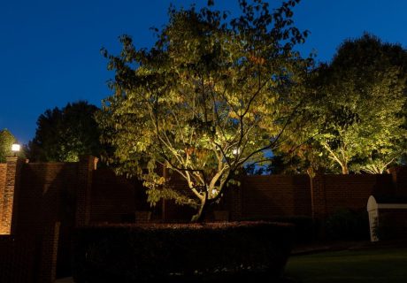 Outdoor-Tree-Lighting