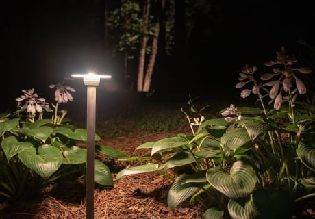 Flower-Garden-Lighting