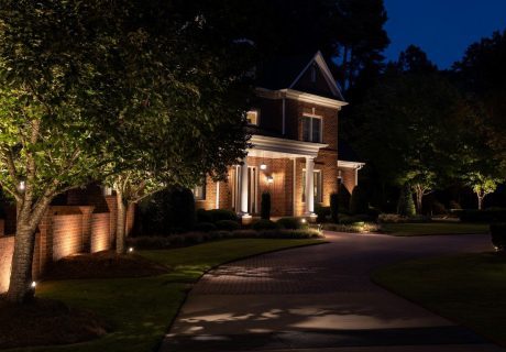 led-landscape-lighting_-tree-lighting